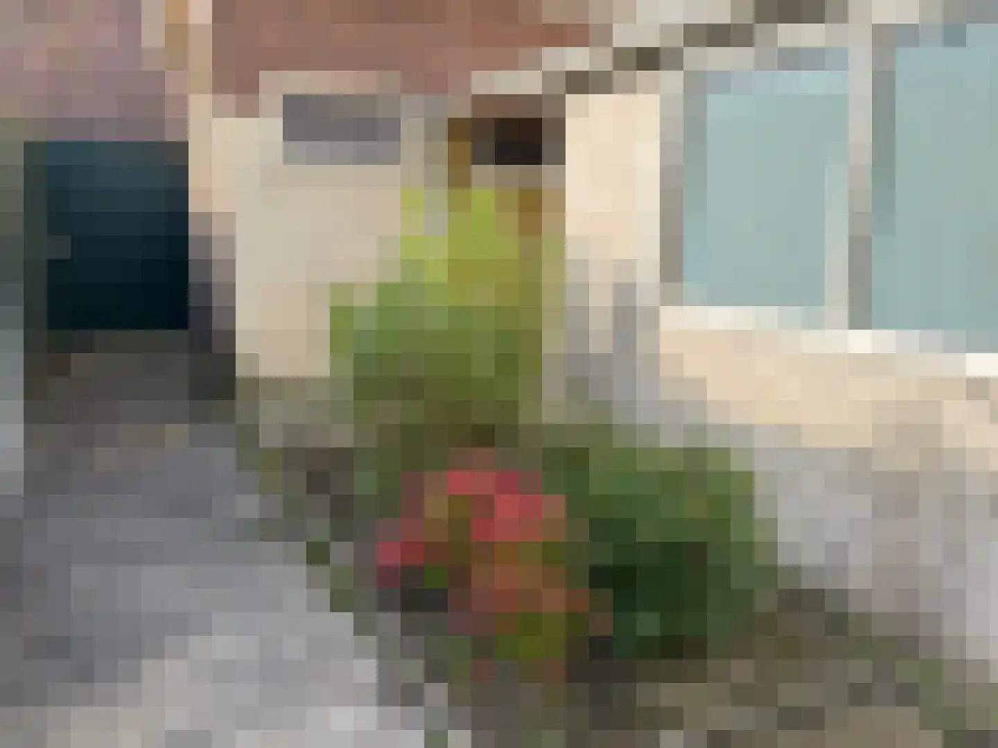 Jan Luykenstraat 65 Haarlem thumbnail 9