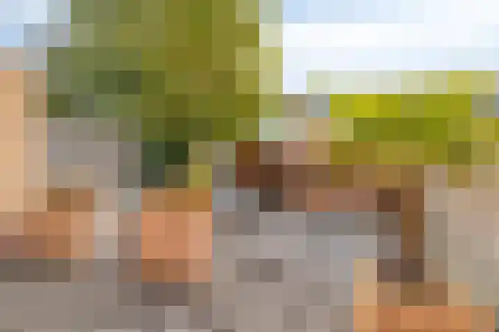 Jan Luykenstraat 8 Heerhugowaard thumbnail 43