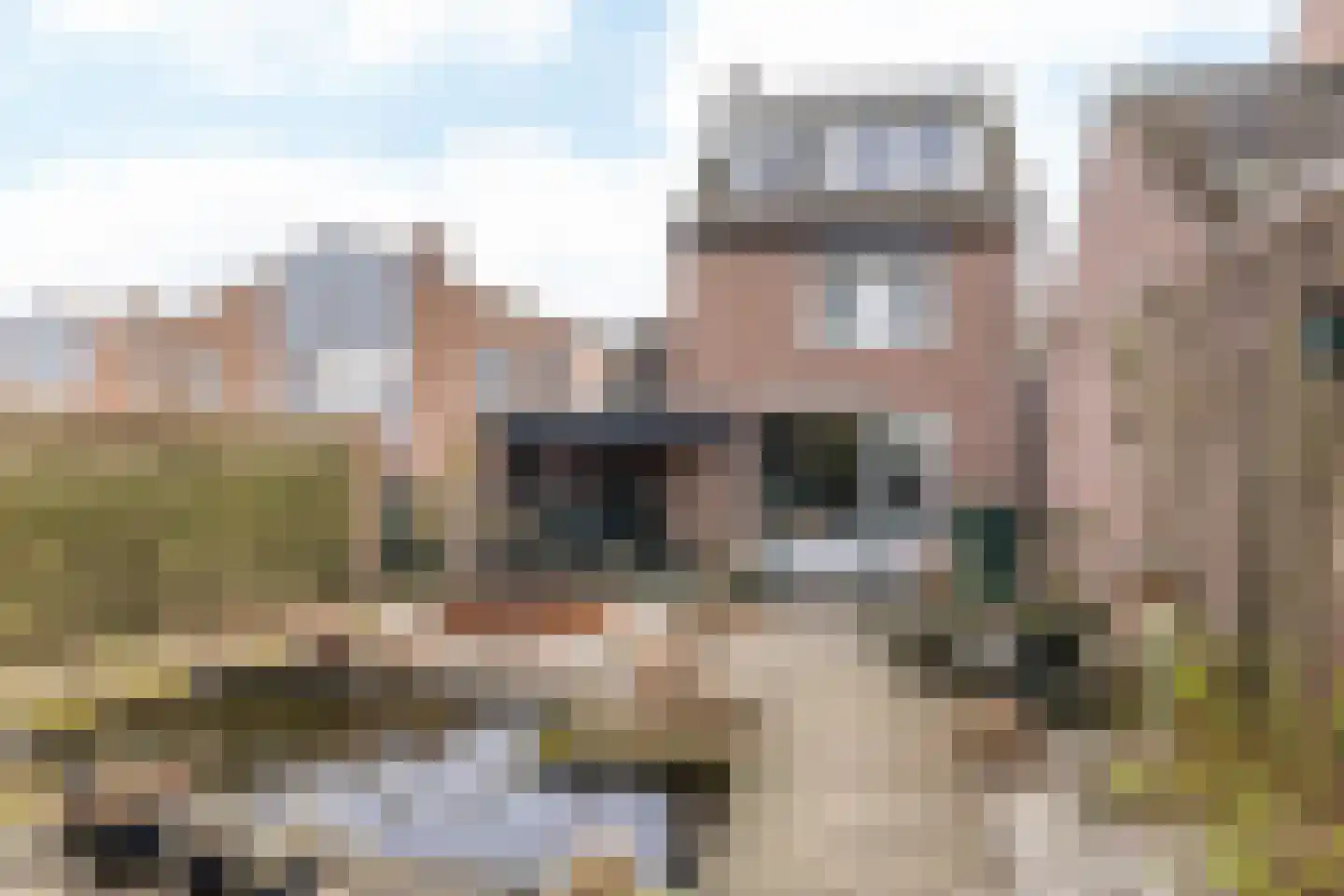 Jan Maenenstraat 46 Wijnandsrade foto 3