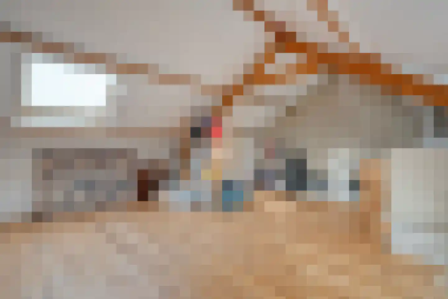 Jan Mankeshof 109 Meppel thumbnail 33