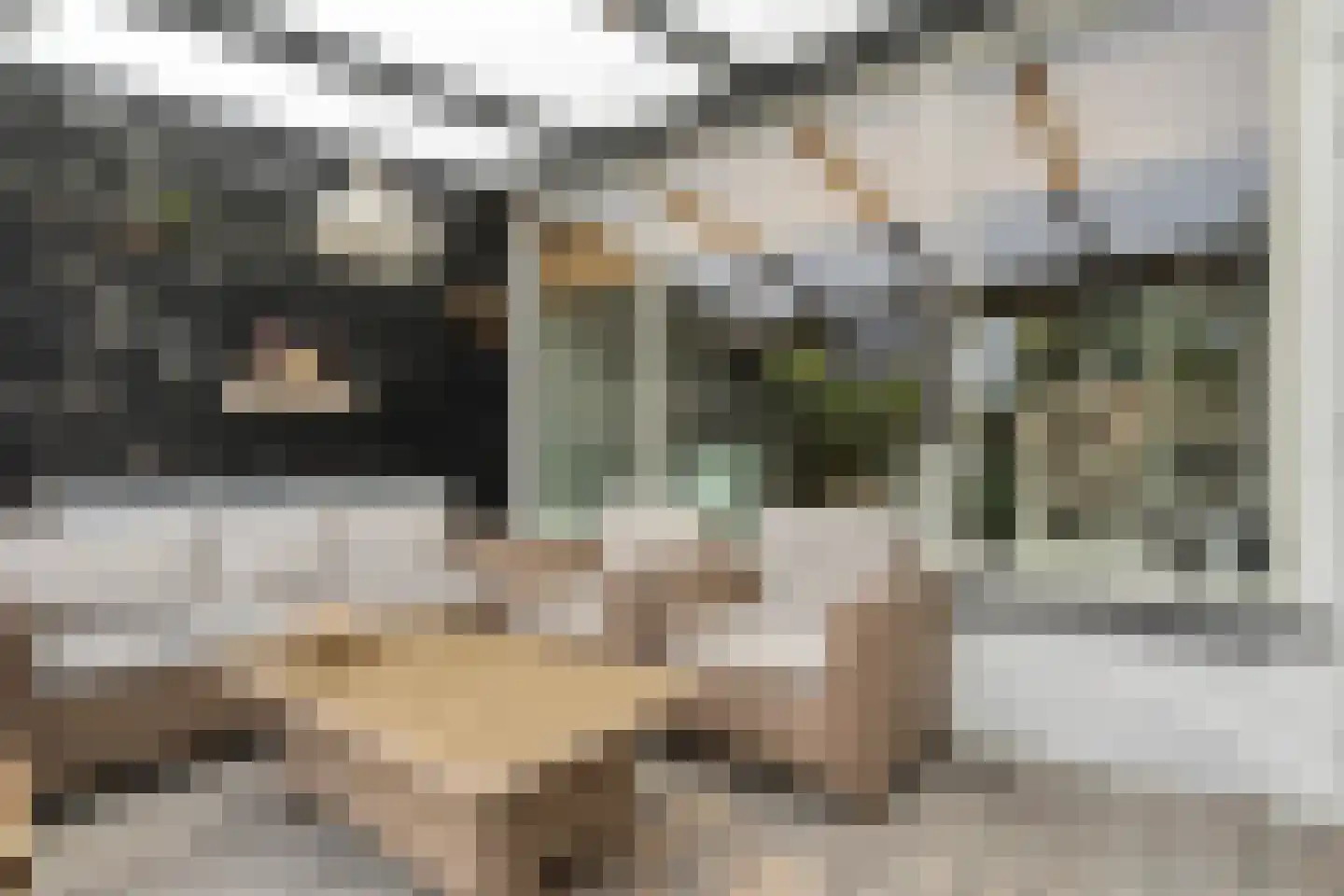 Jan Mankeshof 109 Meppel thumbnail 36