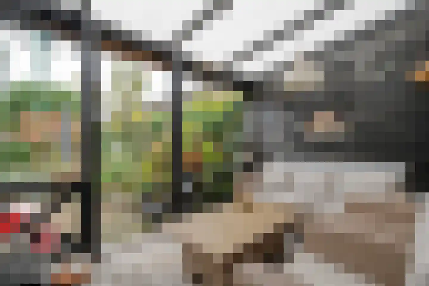 Jan Mankeshof 109 Meppel thumbnail 37