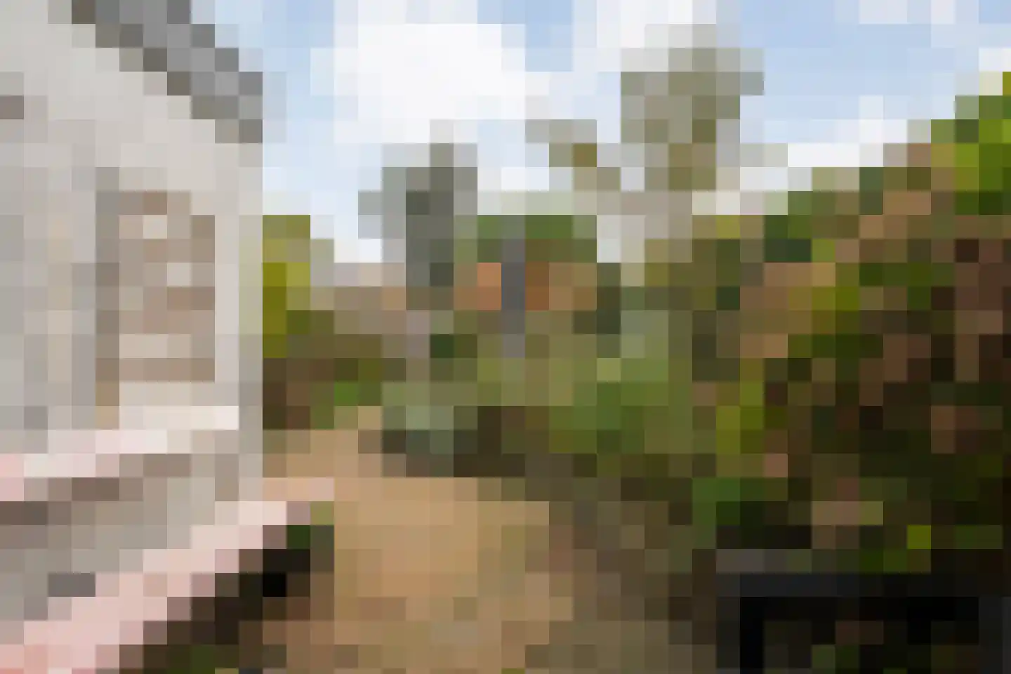 Jan Mankeshof 109 Meppel thumbnail 39