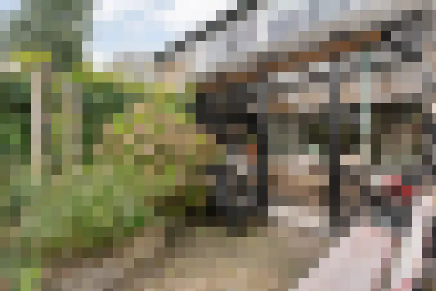 Jan Mankeshof 109 Meppel thumbnail 40