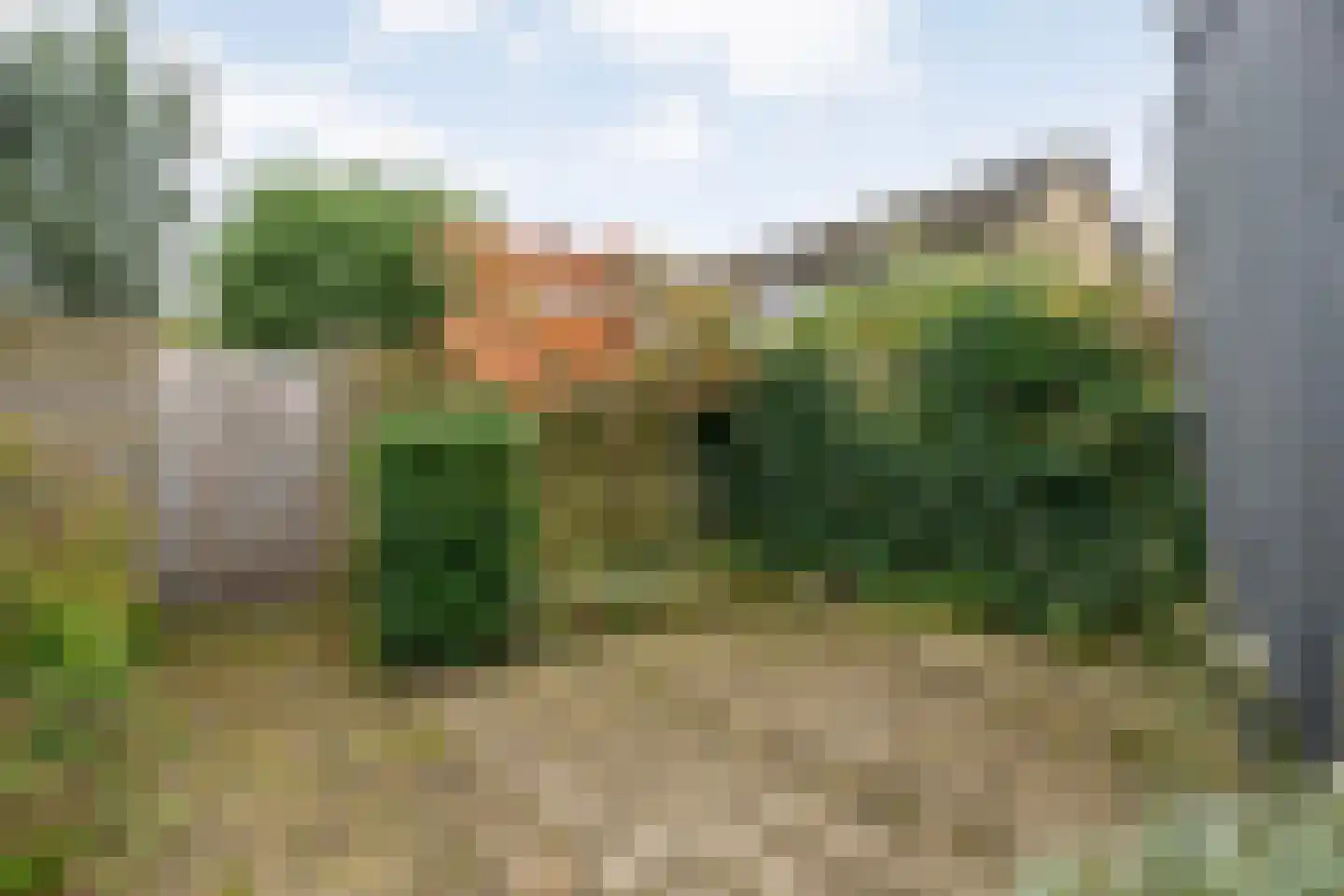 Jan Mankeshof 109 Meppel thumbnail 43