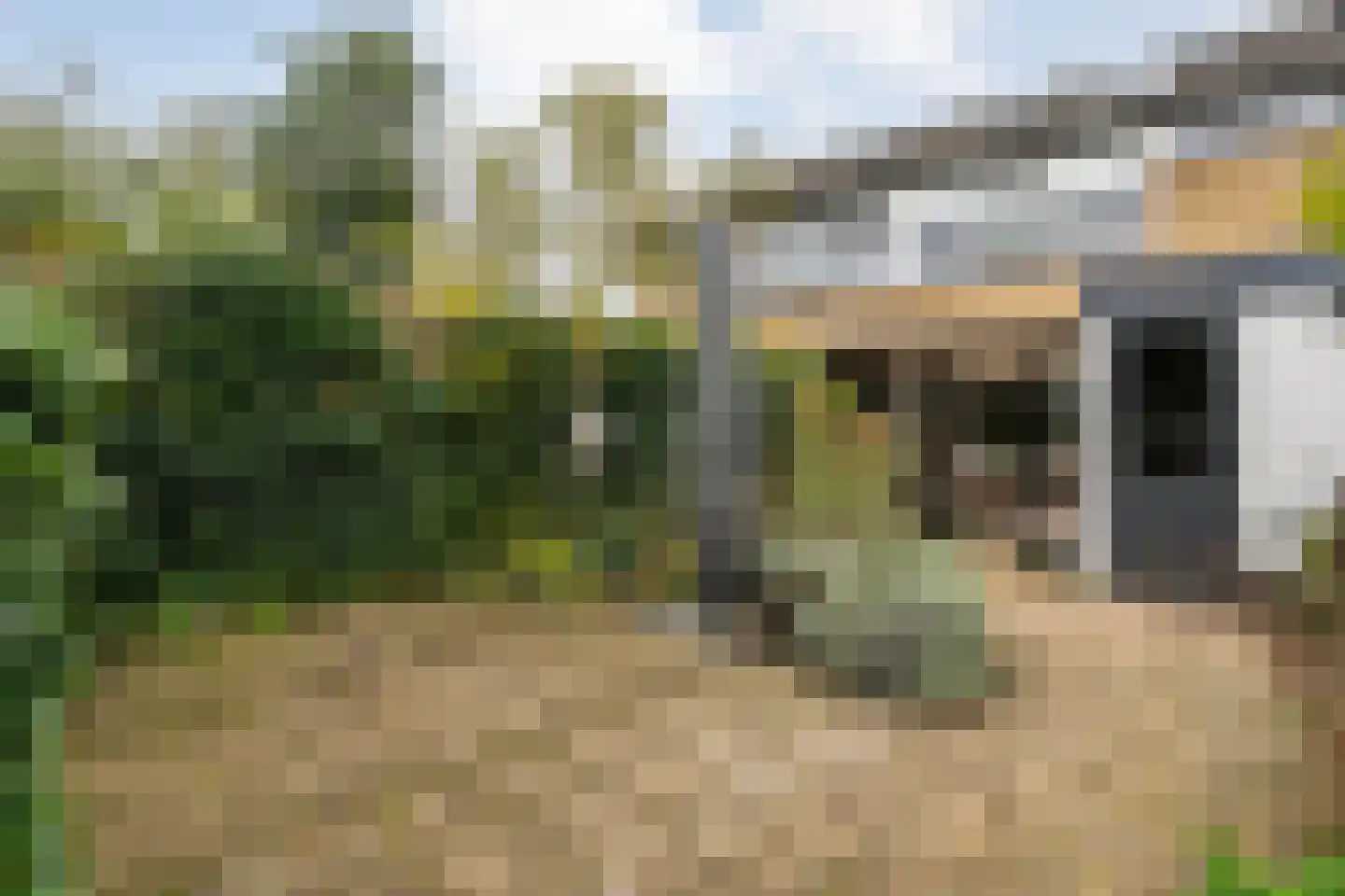Jan Mankeshof 109 Meppel thumbnail 44