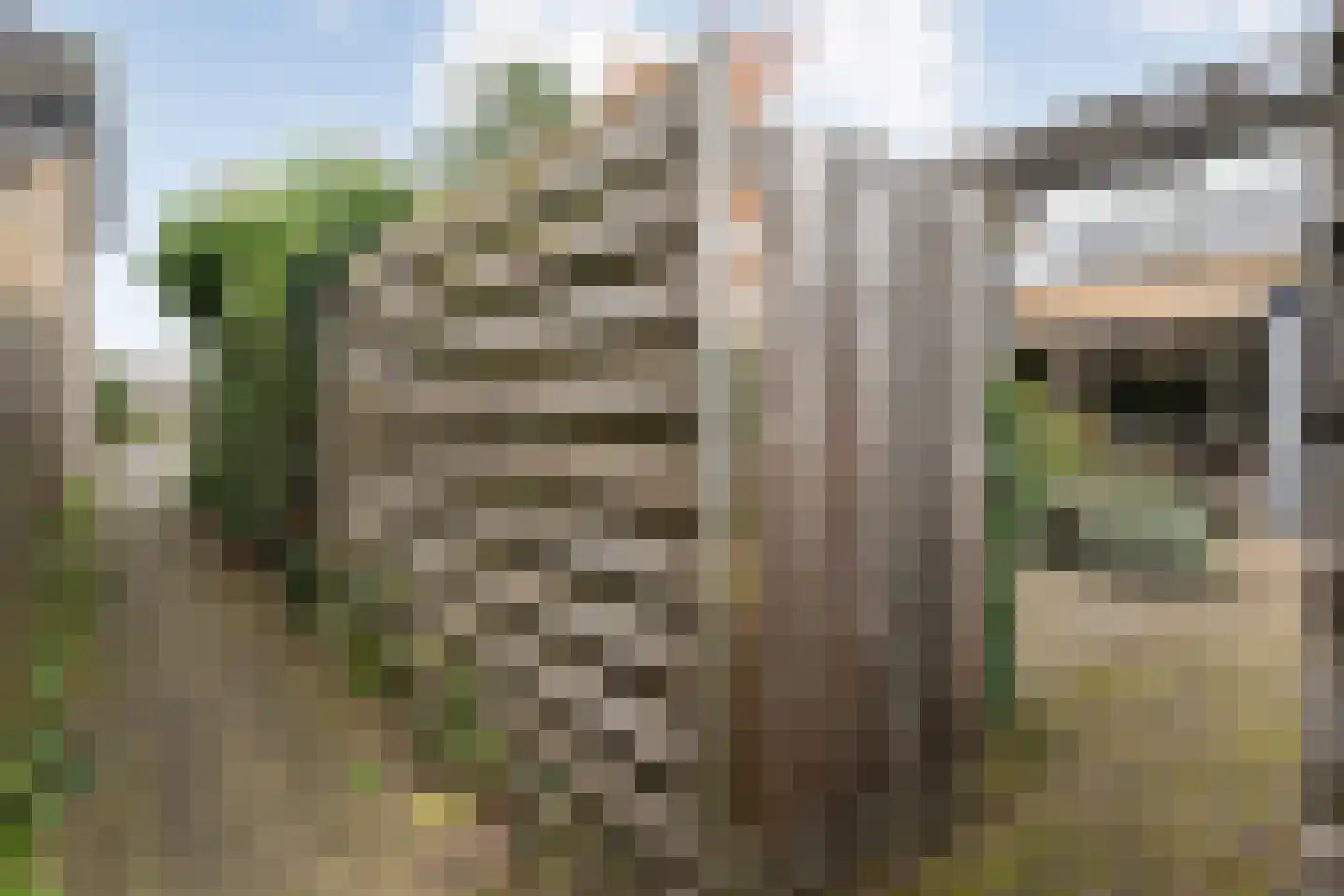 Jan Mankeshof 109 Meppel thumbnail 45