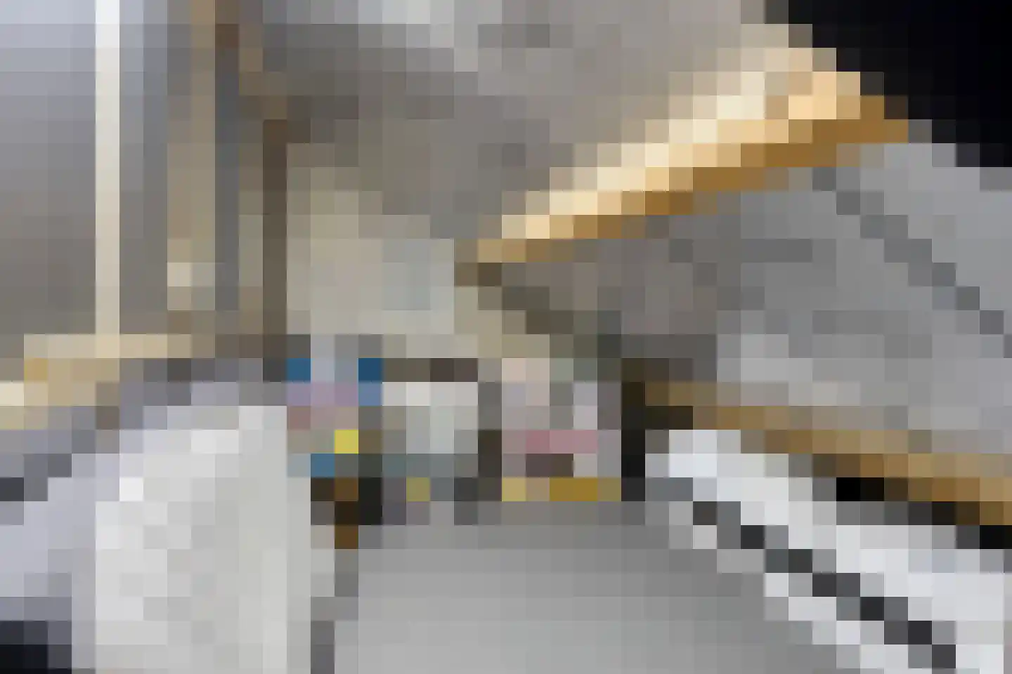 Jan Mankeshof 16 Meppel thumbnail 27