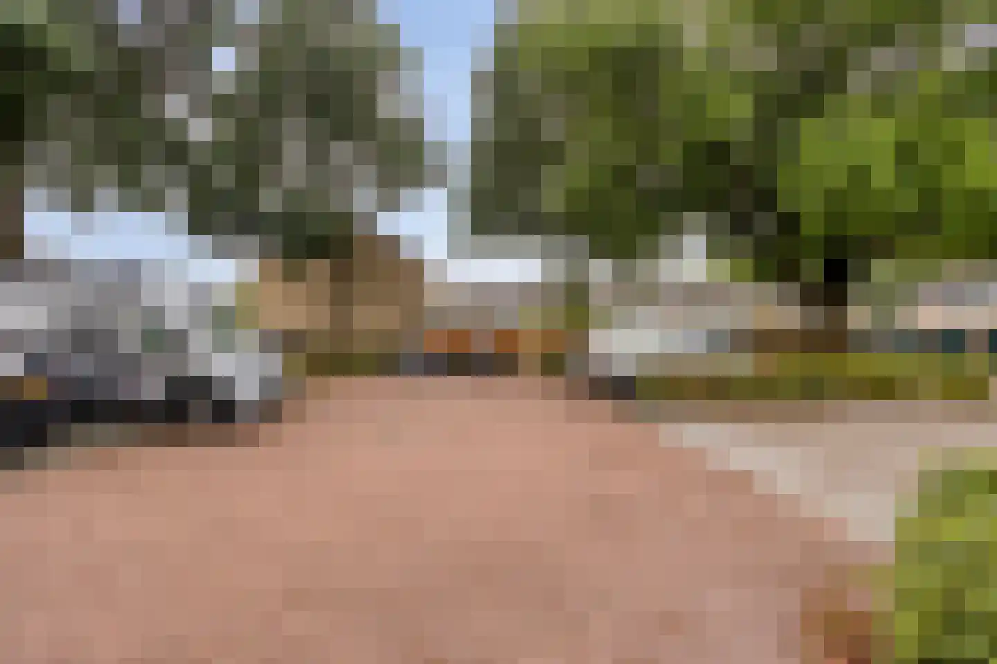 Jan Mankeshof 16 Meppel thumbnail 41