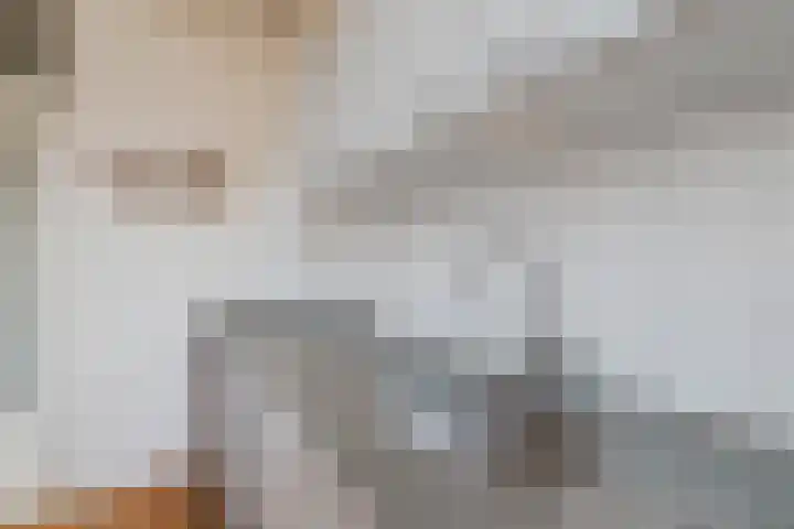 Jan Mankeshof 20 Meppel thumbnail 16