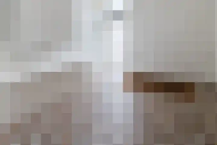 Jan Mankeshof 20 Meppel thumbnail 21
