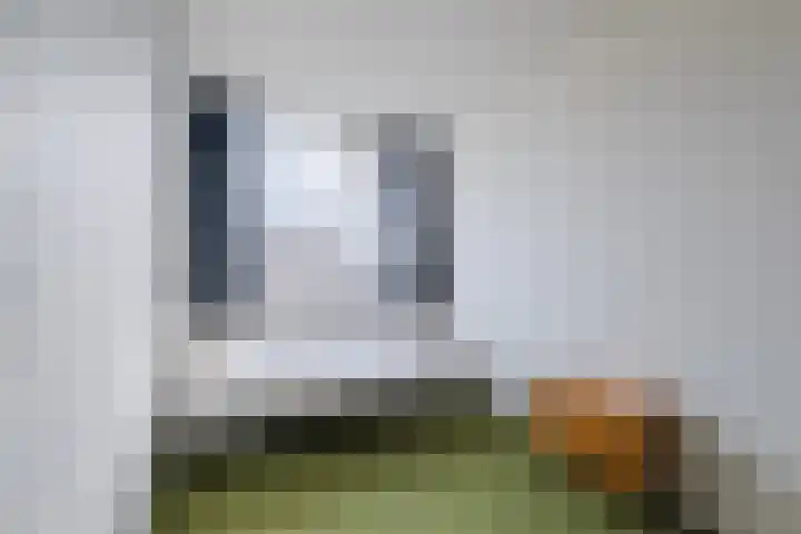 Jan Mankeshof 20 Meppel thumbnail 25