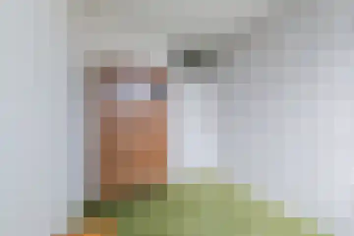 Jan Mankeshof 20 Meppel thumbnail 26