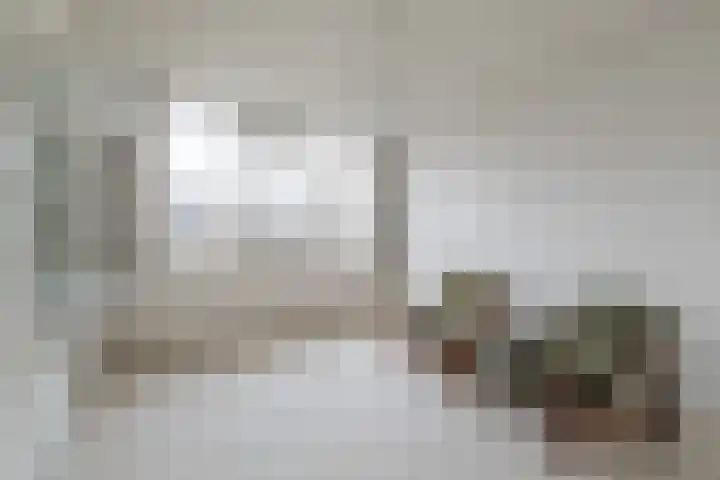 Jan Mankeshof 20 Meppel thumbnail 29