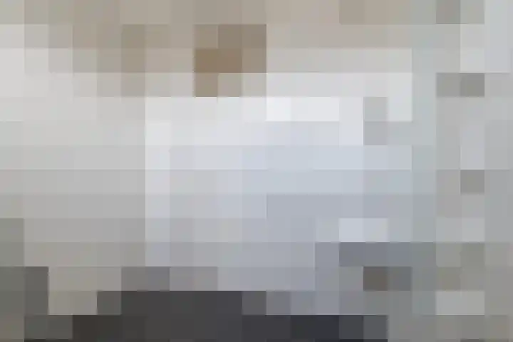Jan Mankeshof 20 Meppel thumbnail 32