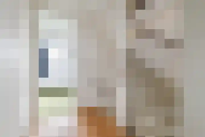 Jan Mankeshof 20 Meppel thumbnail 40