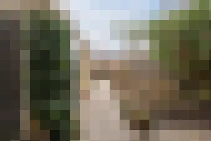 Jan Mankeshof 20 Meppel thumbnail 43