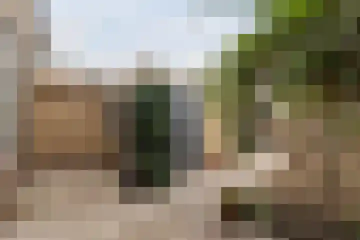 Jan Mankeshof 20 Meppel thumbnail 44