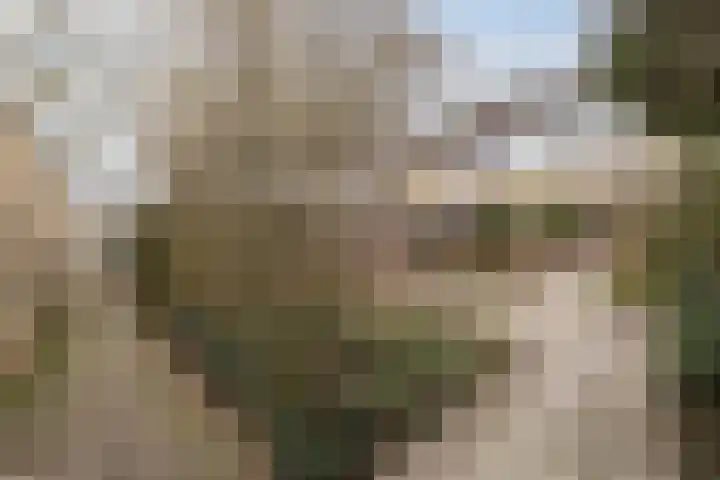 Jan Mankeshof 20 Meppel thumbnail 47