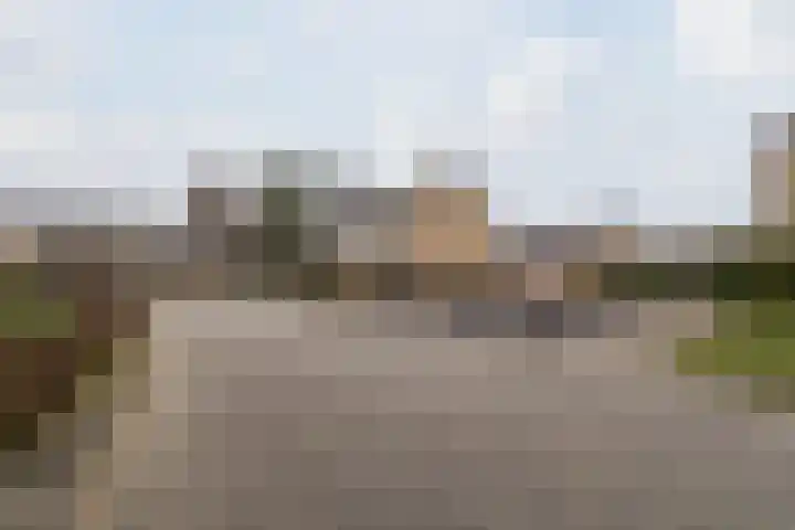 Jan Mankeshof 20 Meppel thumbnail 6