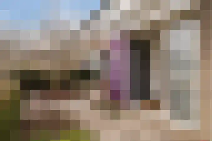 Jan Mankeshof 20 Meppel thumbnail 7