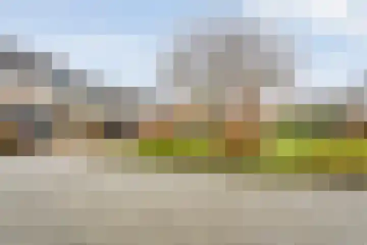 Jan Mankeshof 62 Meppel thumbnail 35