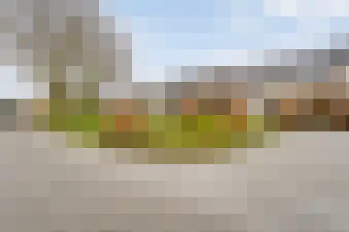 Jan Mankeshof 62 Meppel thumbnail 36