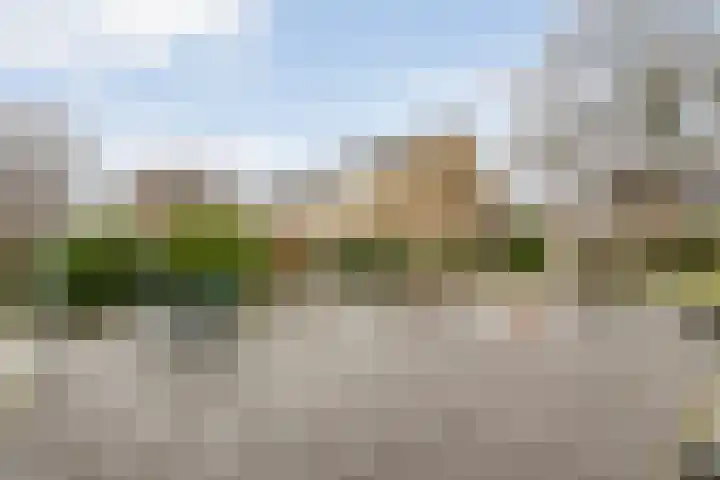 Jan Mankeshof 62 Meppel thumbnail 39