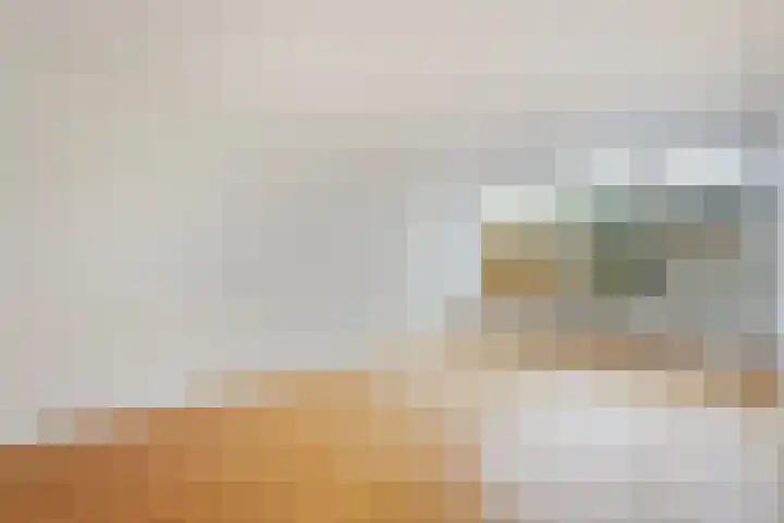 Jan Mankeshof 62 Meppel thumbnail 8