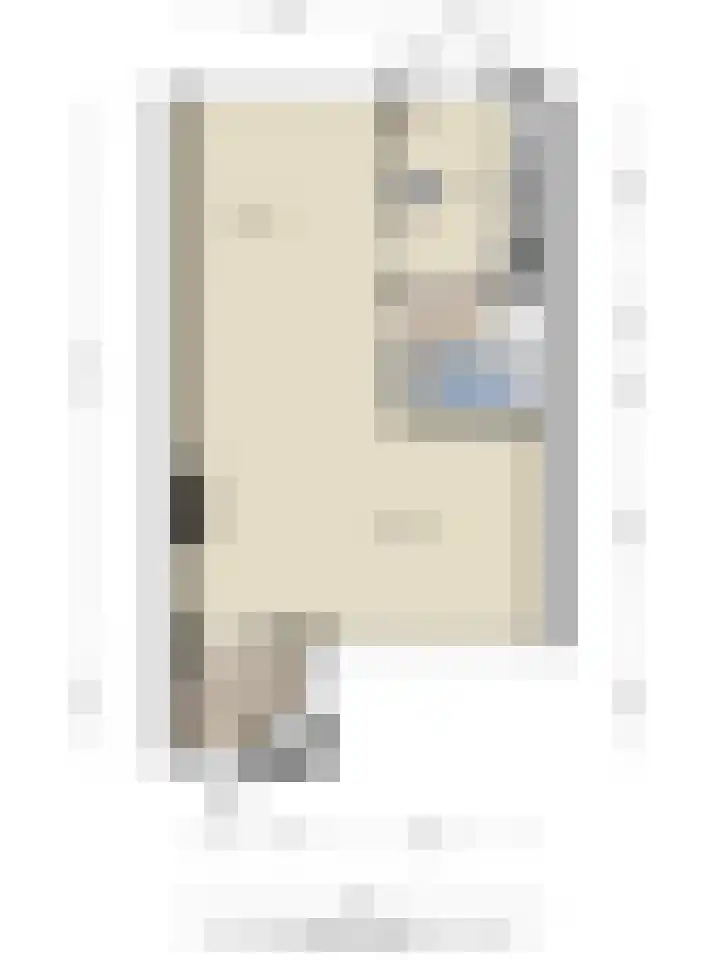 Jan Mankeshof 94 Meppel thumbnail 35