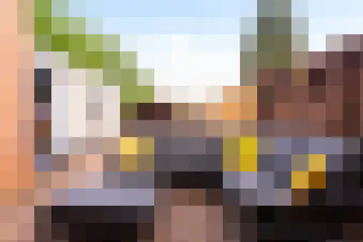 Jan Mankesstraat 106 Eerbeek thumbnail 23