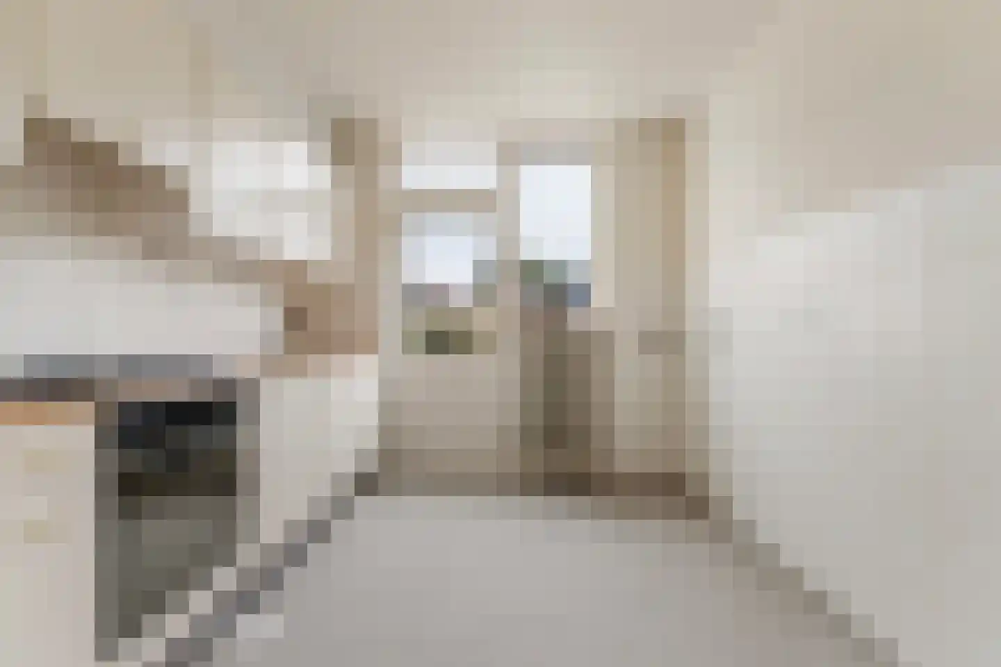 Jan Mankesstraat 14 Nunspeet thumbnail 11