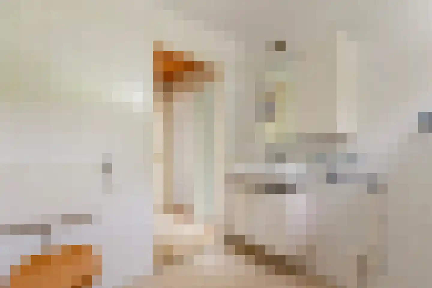 Jan Mankesstraat 14 Nunspeet thumbnail 20