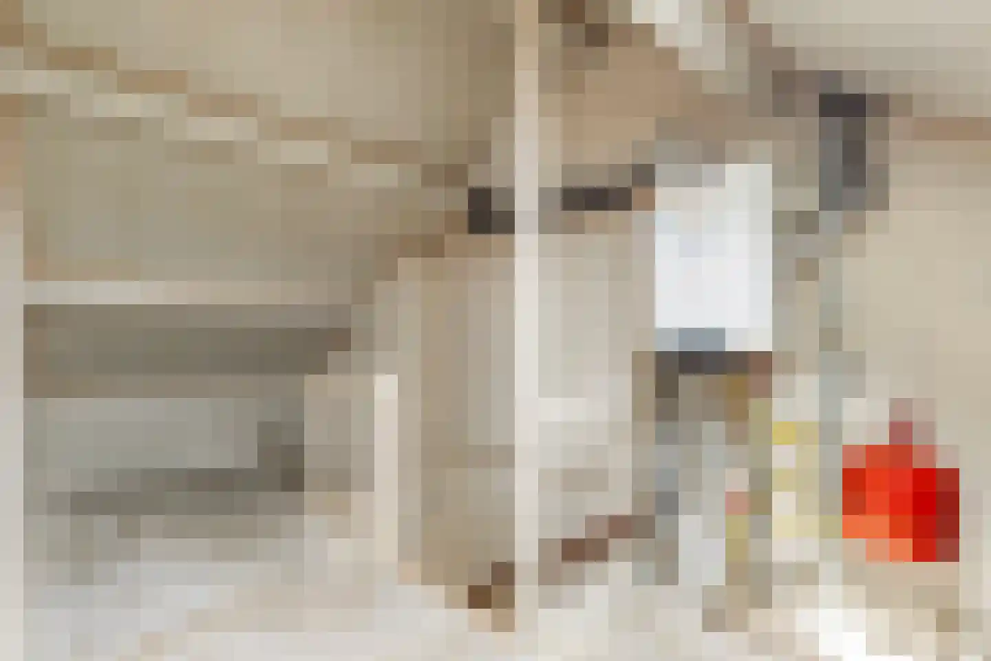 Jan Mankesstraat 14 Nunspeet thumbnail 22