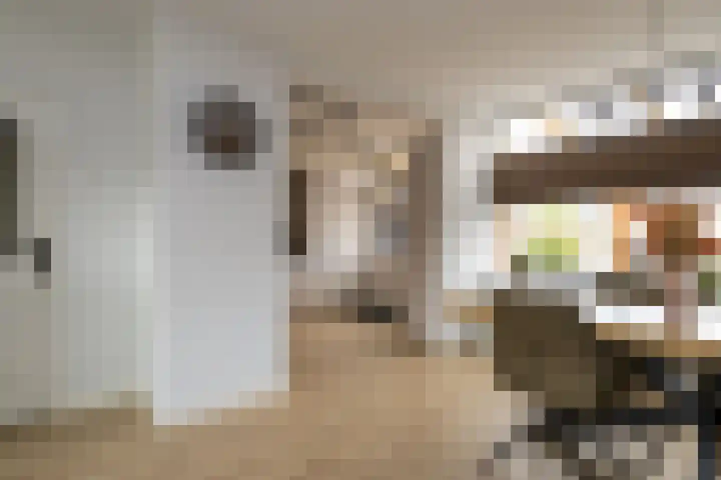 Jan Mankesstraat 16 Nunspeet thumbnail 19