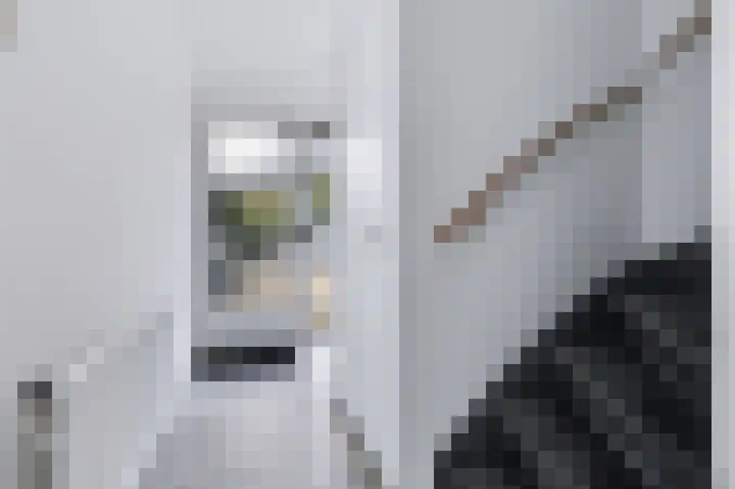 Jan Mankesstraat 26 Nunspeet thumbnail 5