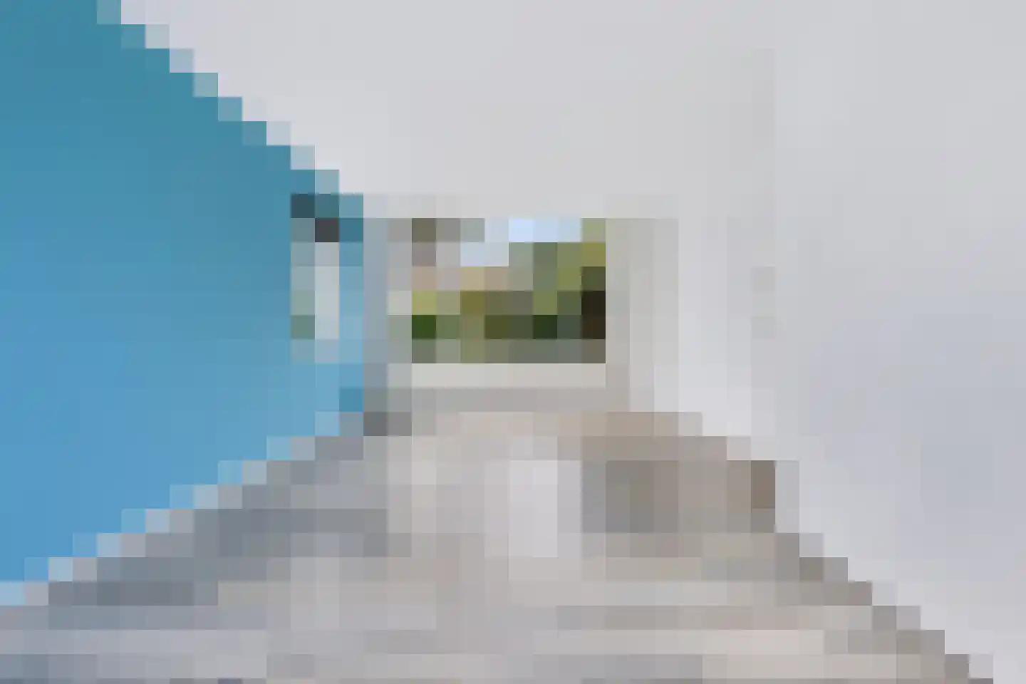 Jan Mankesstraat 26 Nunspeet thumbnail 8