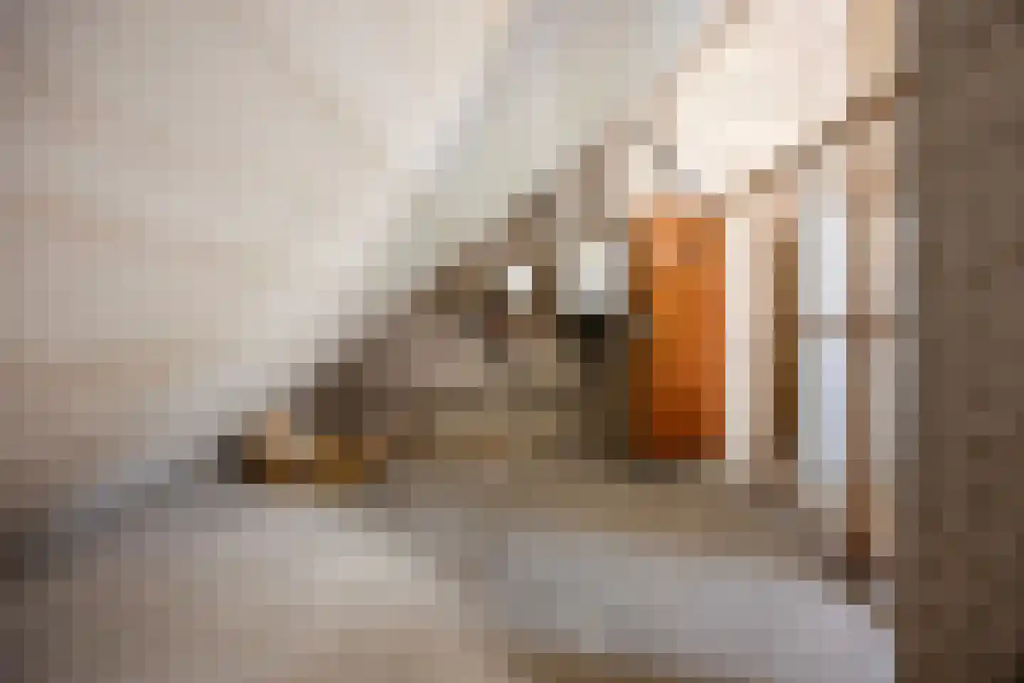 Jan Mankesstraat 62 3 Amsterdam thumbnail 22
