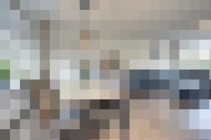 Jan Mankesstraat 9 Nunspeet thumbnail 12
