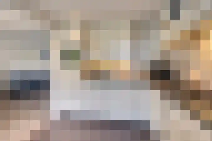 Jan Mankesstraat 9 Nunspeet thumbnail 13
