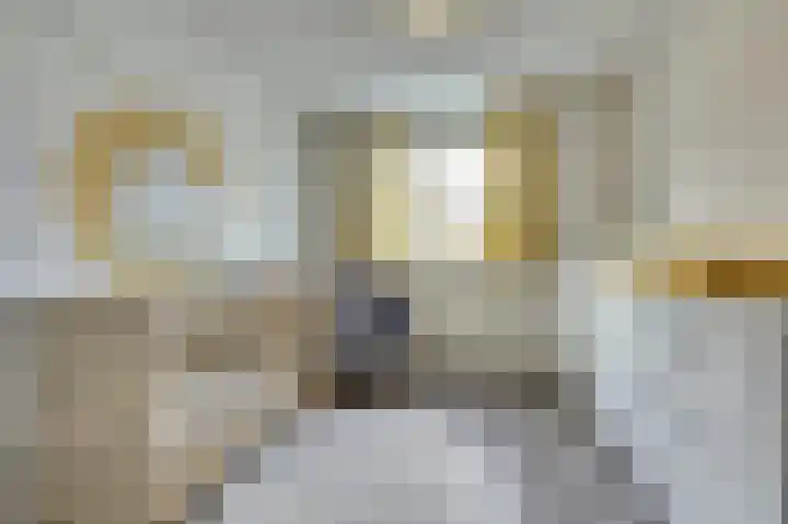 Jan Mankesstraat 9 Nunspeet thumbnail 21
