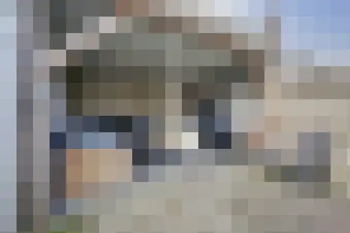 Jan Mankesstraat 9 Nunspeet thumbnail 30
