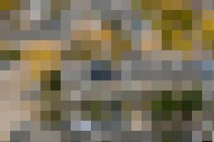 Jan Mankesstraat 9 Nunspeet thumbnail 34