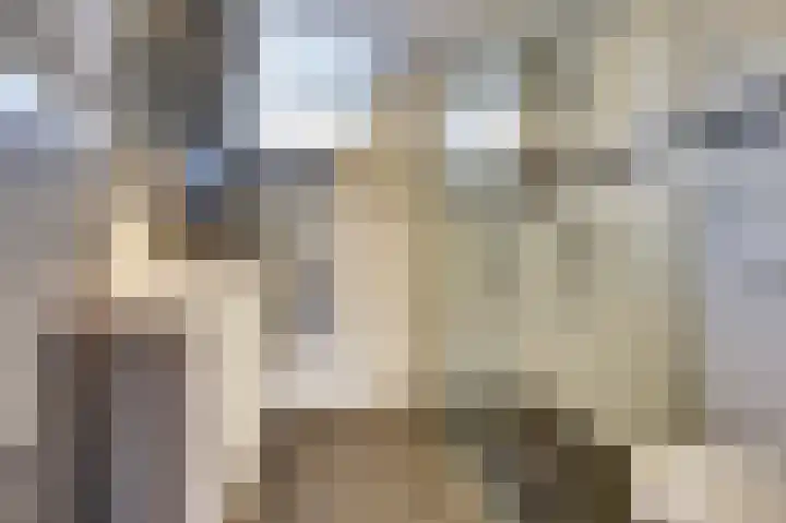 Jan Mankesstraat 9 Nunspeet thumbnail 5