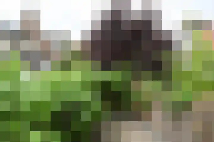 Jan Massenstraat 15 Naarden thumbnail 13