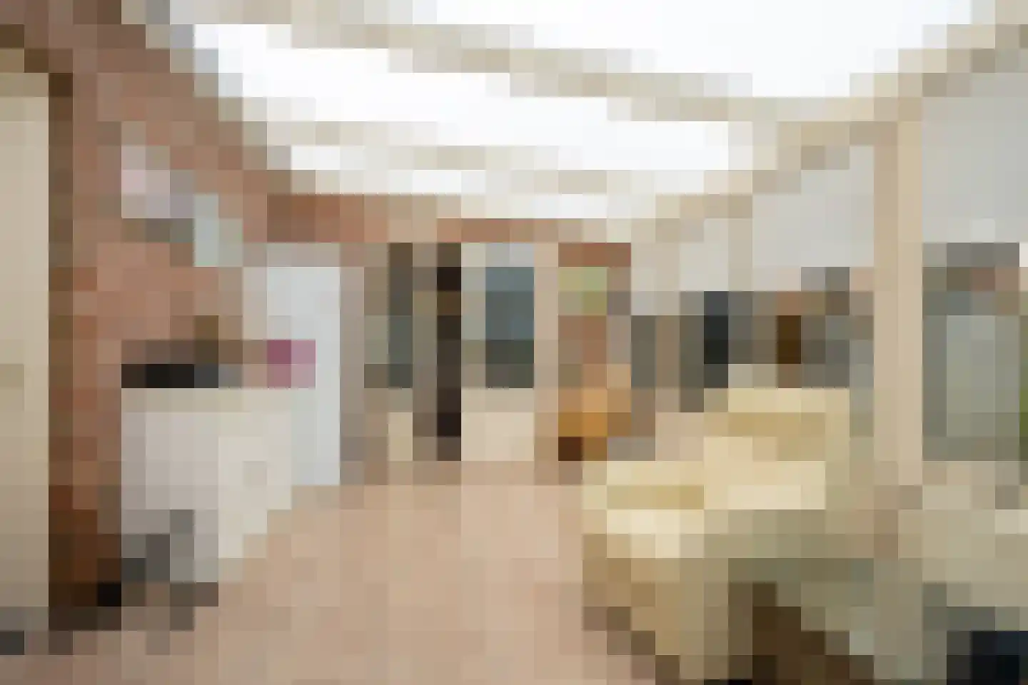 Jan Matstraat 5 Putte thumbnail 14