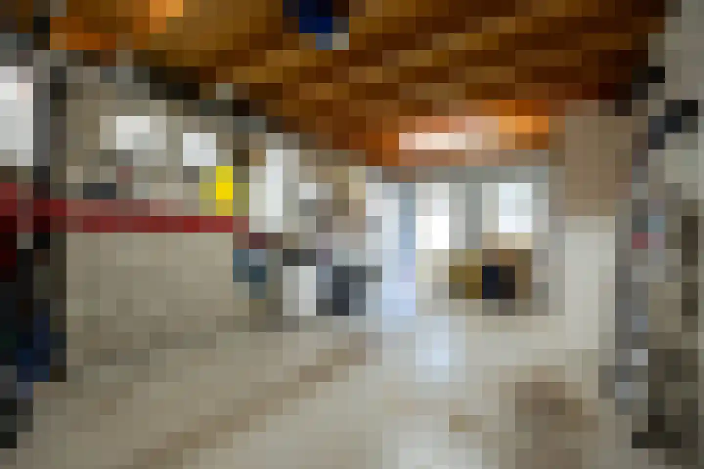 Jan Matstraat 5 Putte thumbnail 18