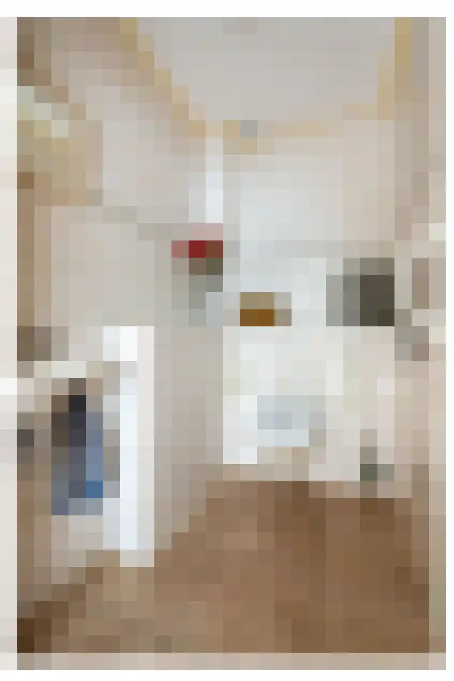 Jan Matstraat 5 Putte thumbnail 19