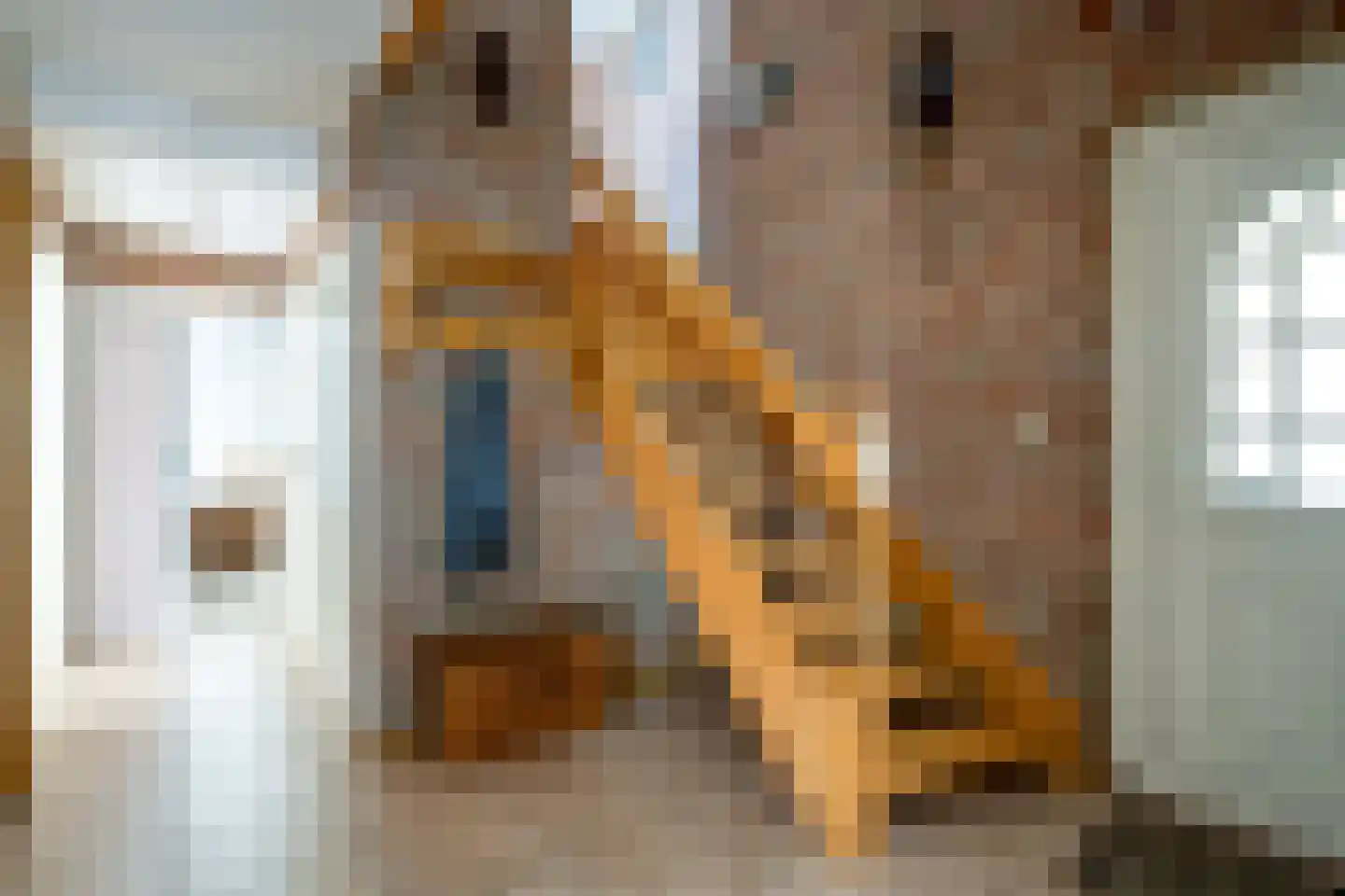 Jan Matstraat 5 Putte thumbnail 21