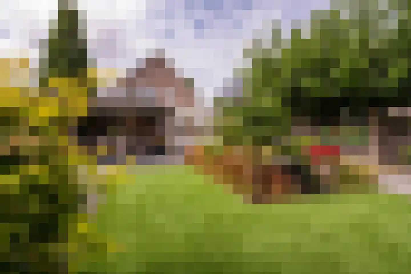 Jan Matstraat 5 Putte thumbnail 32